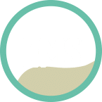 The EMS